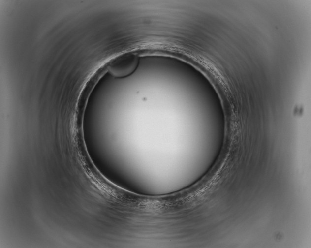 X0000101180880200806271249