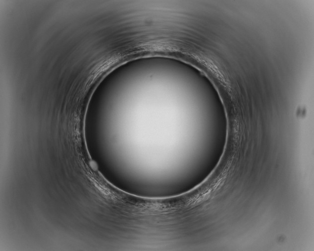 X0000101180881200806271249