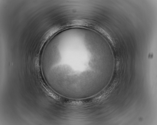 X0000101180882200806271249