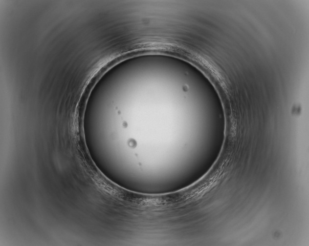 X0000101180883200806271249