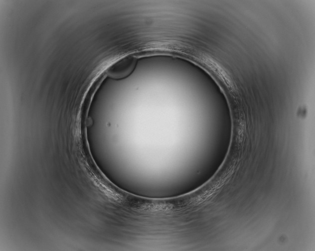 X0000101180884200806271249
