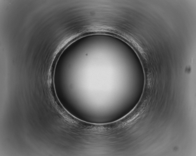 X0000101180885200806271249