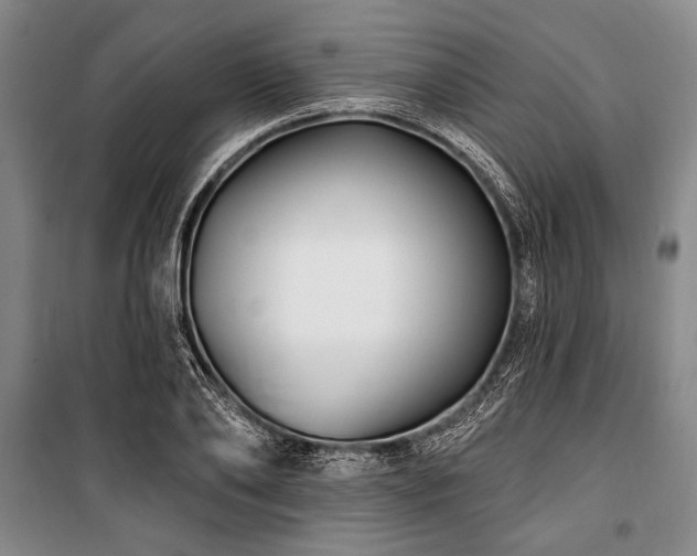 X0000101180886200806271249