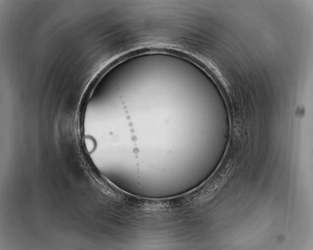 X0000101180887200806271249
