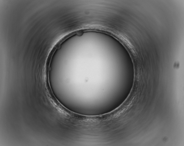 X0000101180888200806271249