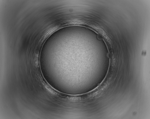 X0000101180889200806271249