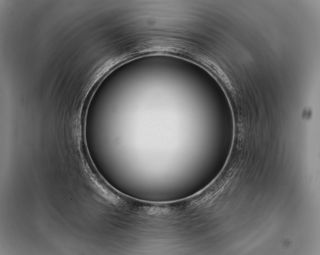 X0000101180890200806271249
