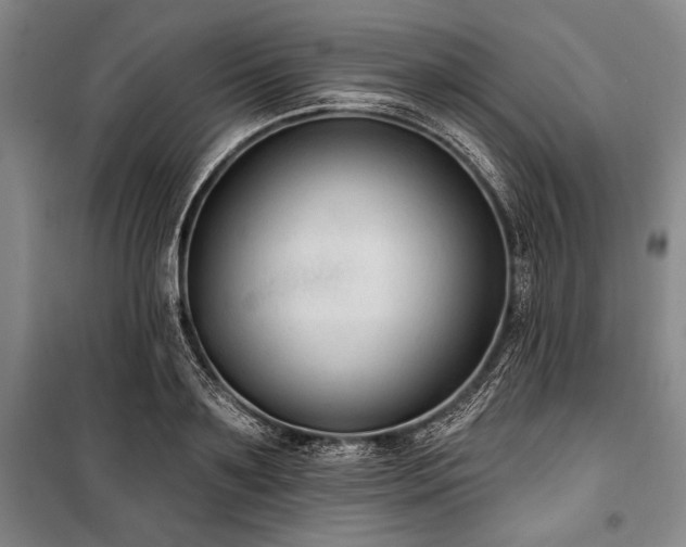 X0000101180891200806271249