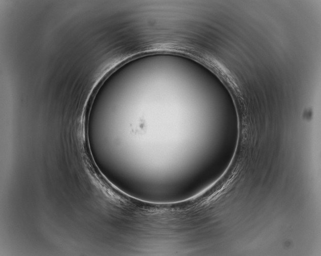 X0000101180892200806271249