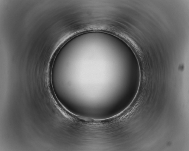 X0000101180894200806271249