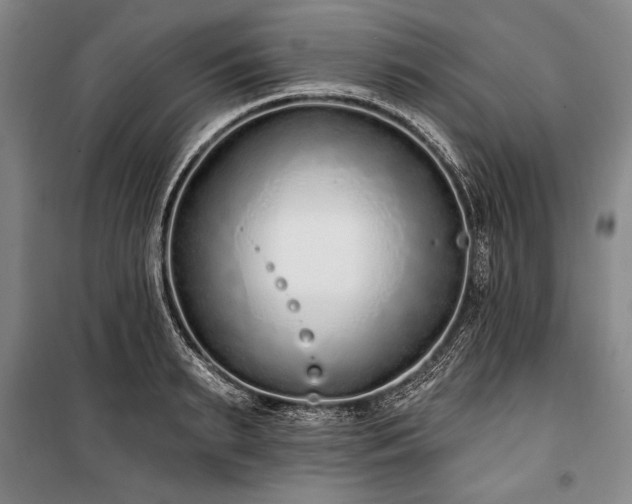 X0000101180895200806271249