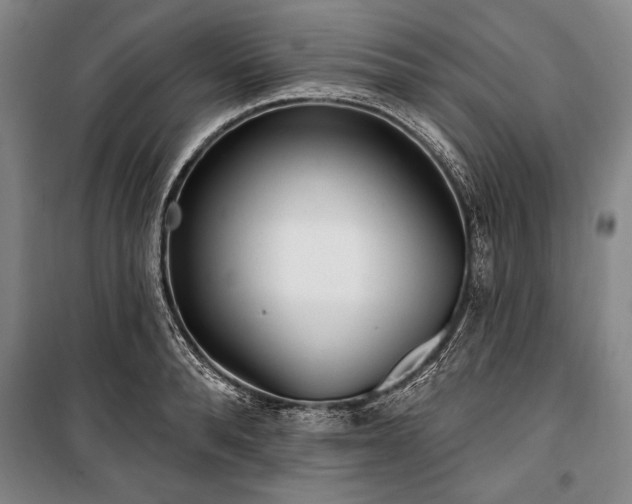 X0000101180896200806271249