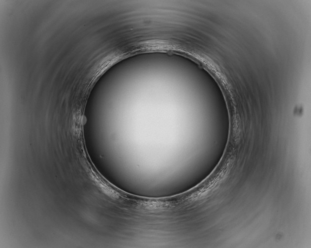 X0000101180897200806271249