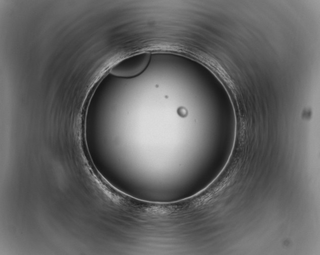 X0000101180898200806271249