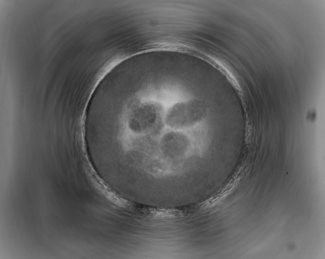 X0000101180899200806271249