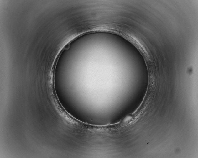X0000101180900200806271249