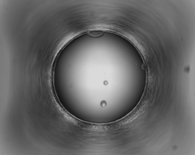 X0000101180901200806271249