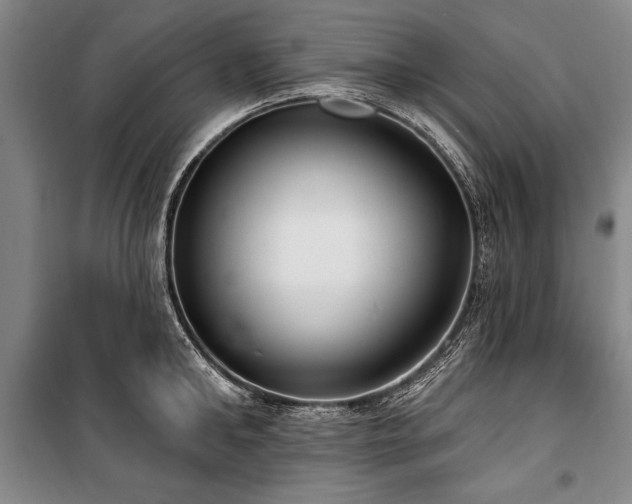 X0000101180902200806271249