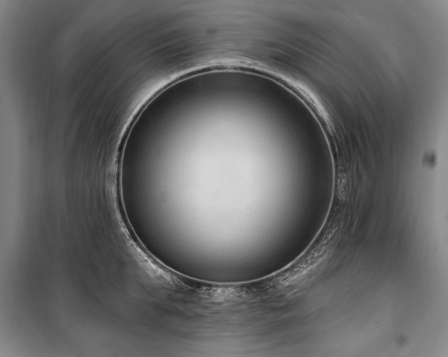 X0000101180903200806271249
