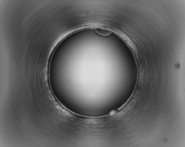 X0000101180904200806271249