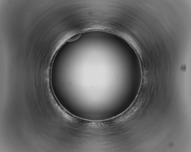 X0000101180906200806271249