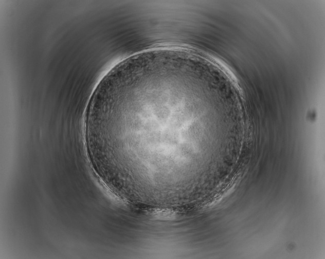 X0000101180907200806271249