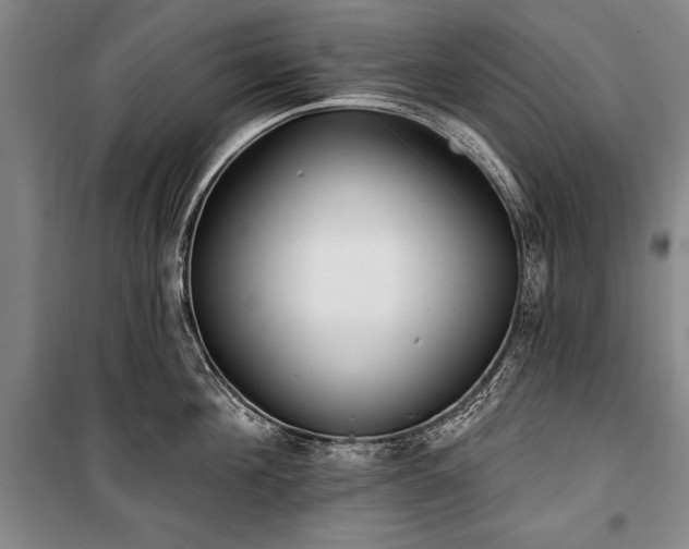 X0000101180908200806271249