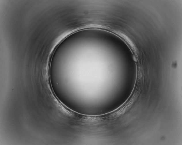 X0000101180910200806271249