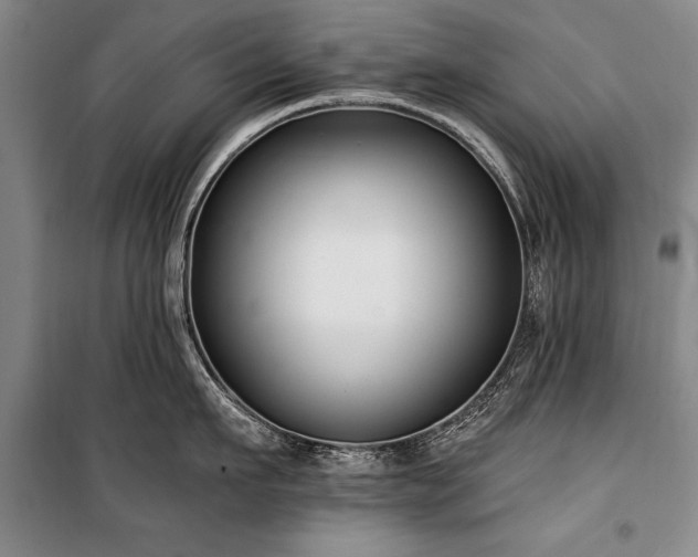 X0000101180911200806271249