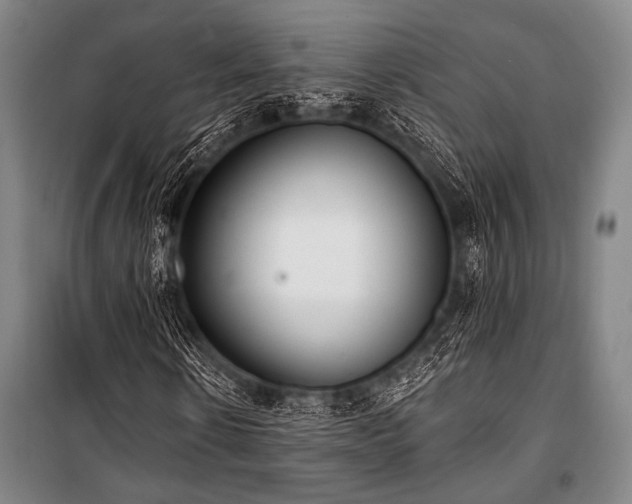 X0000101180914200806271248