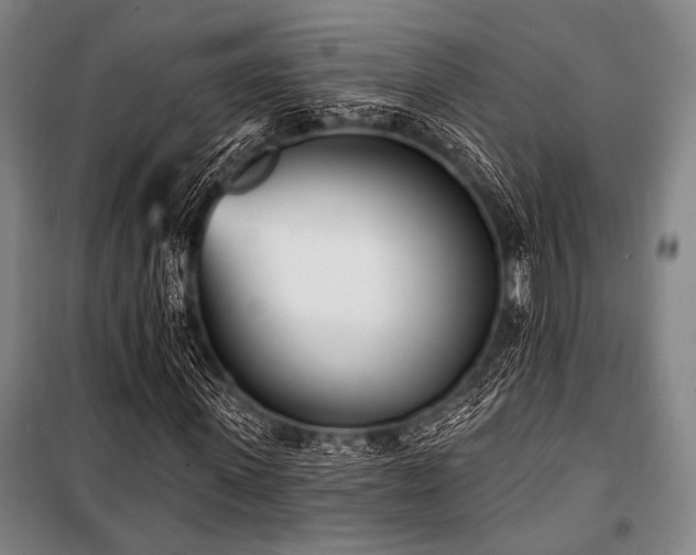 X0000101180915200806271248