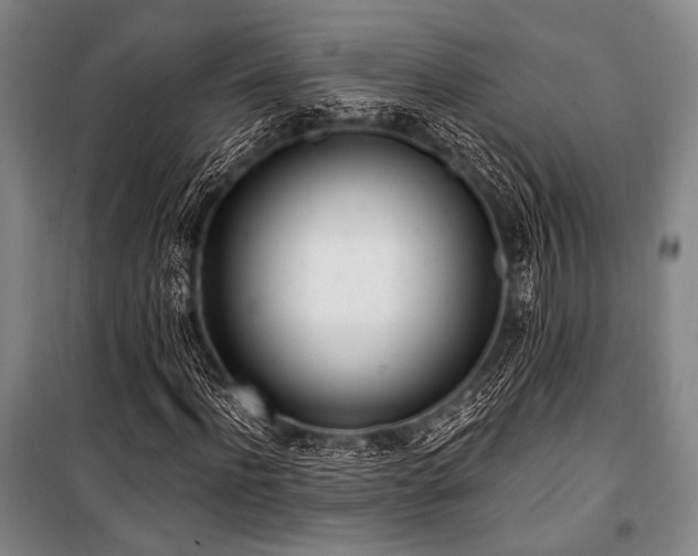 X0000101180916200806271248