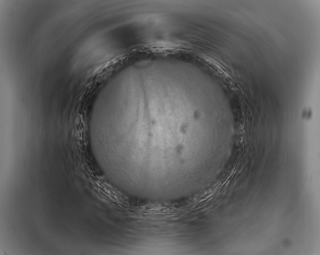X0000101180917200806271248