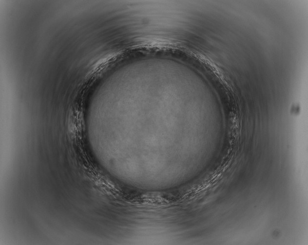 X0000101180918200806271248
