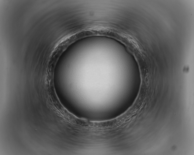 X0000101180920200806271248