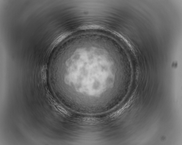 X0000101180921200806271248