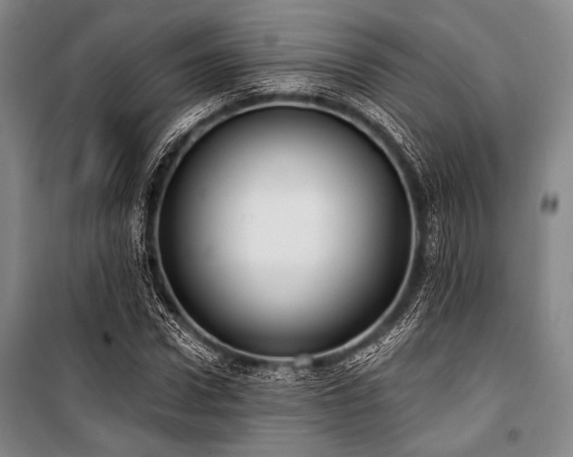 X0000101180922200806271248