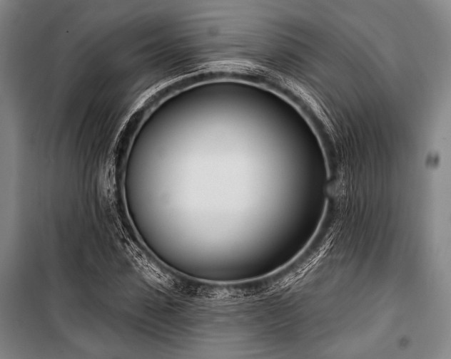 X0000101180923200806271248