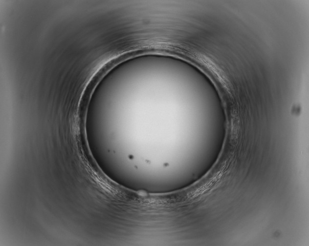 X0000101180924200806271248