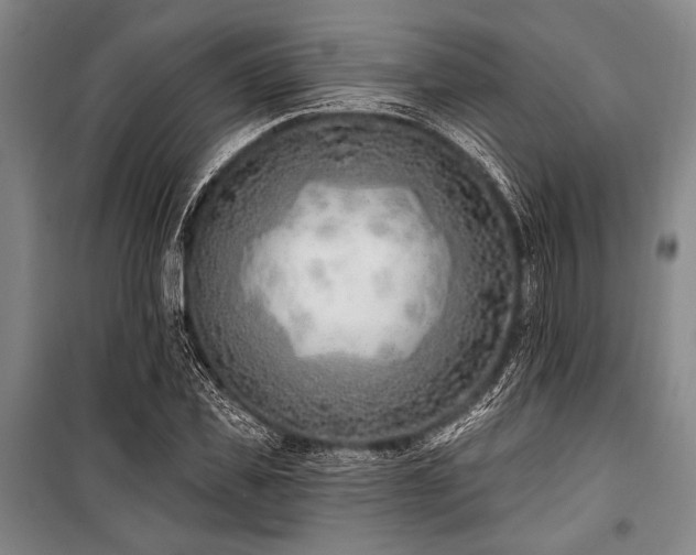X0000101180925200806271248