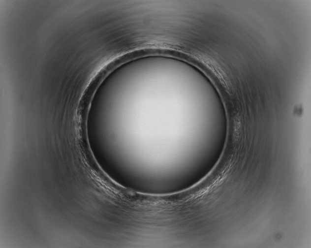 X0000101180926200806271248
