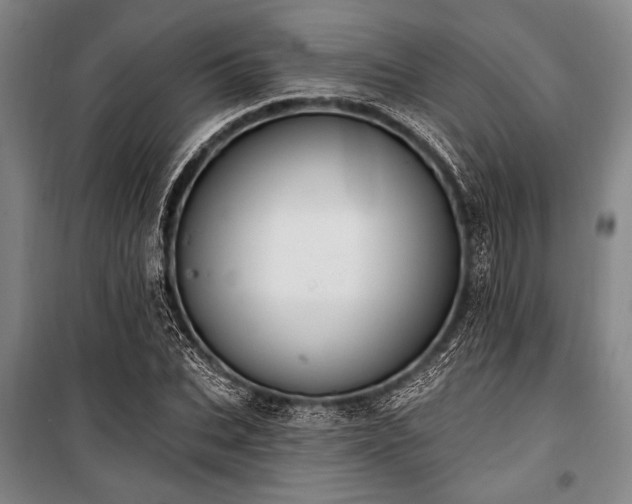 X0000101180927200806271248