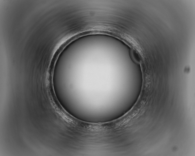 X0000101180928200806271248