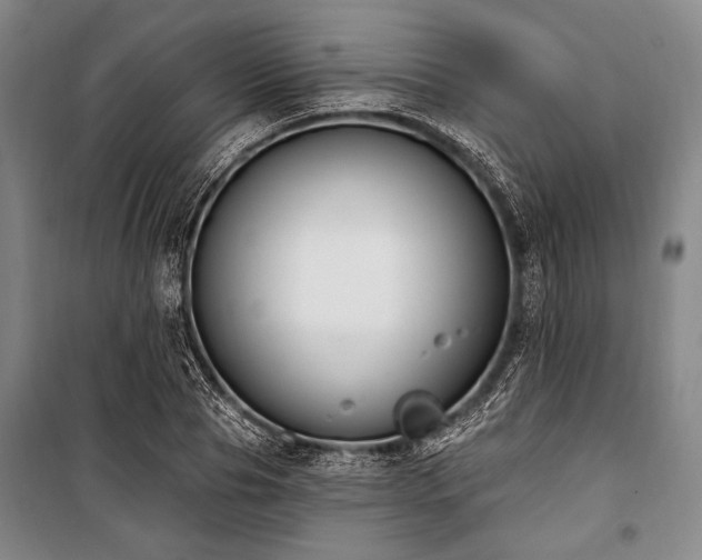 X0000101180929200806271248