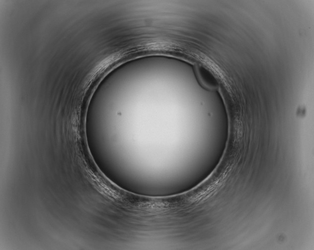 X0000101180930200806271248