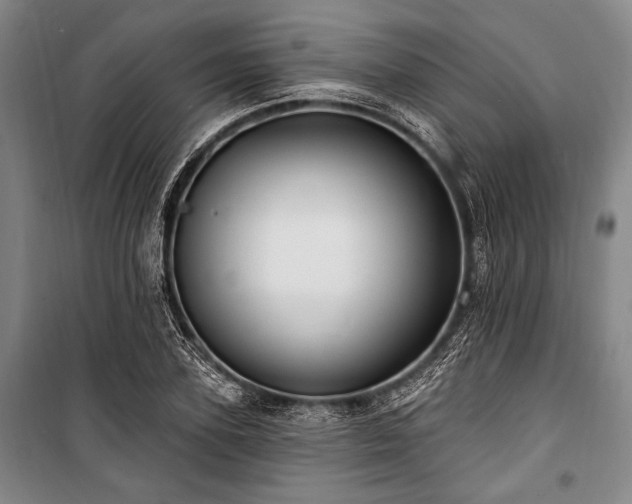 X0000101180931200806271248