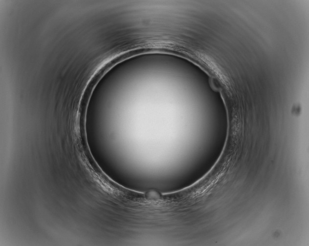 X0000101180932200806271248
