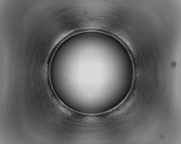 X0000101180933200806271248