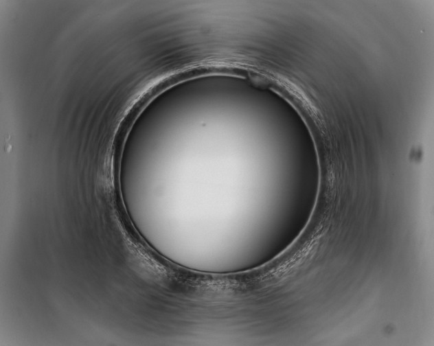 X0000101180934200806271248