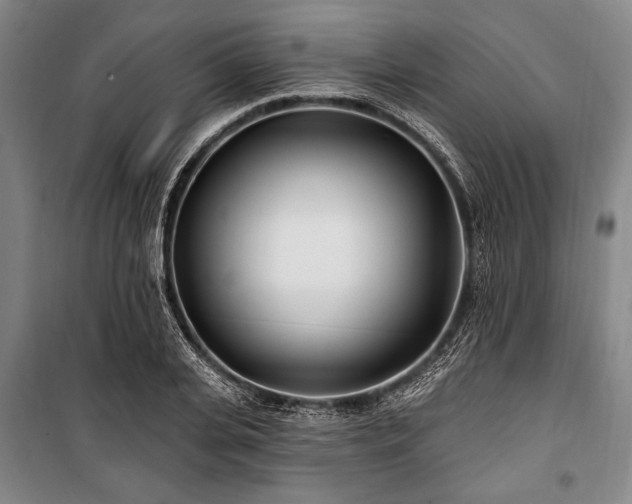X0000101180935200806271248